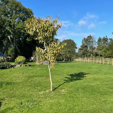 Cosy With Fire Stove * Athlone