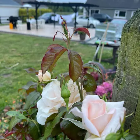 Apartman Cosy With Fire Stove *