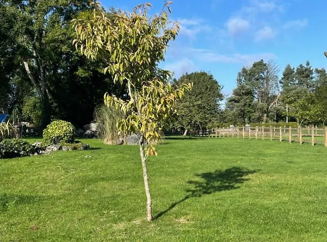 Cosy With Fire Stove * Athlone