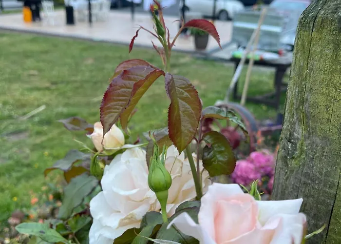 Lägenhet Cosy With Fire Stove *